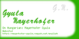 gyula mayerhofer business card